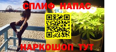 гашик Абинск