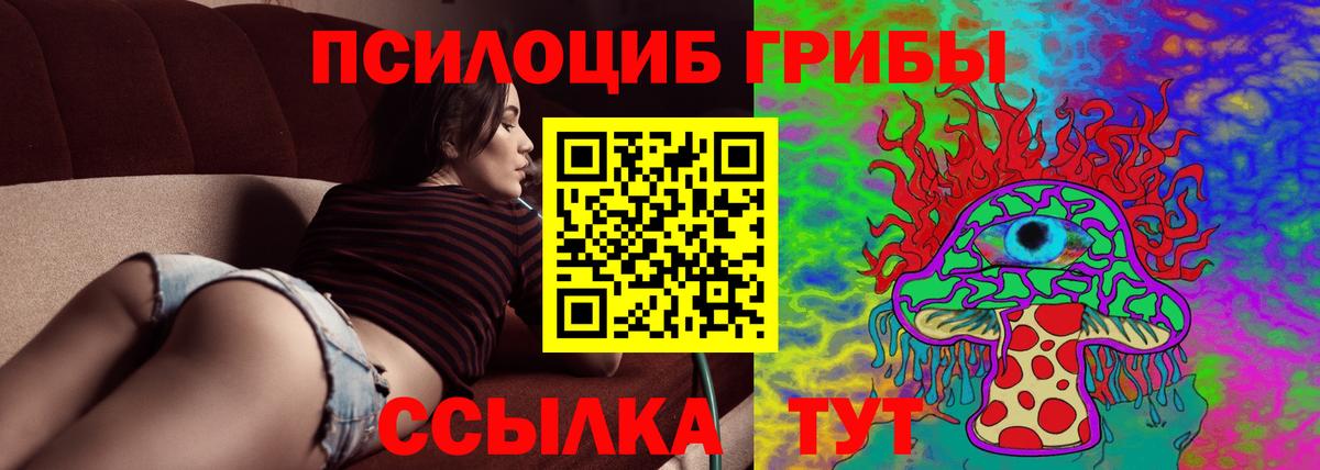 Артём  Галлюциногенные грибы мухоморы  Вход с VPN 