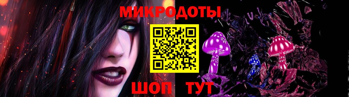 Галлюциногенные грибы Psilocybine cubensis Артём